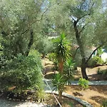 Eleni - * Λιαπάδες